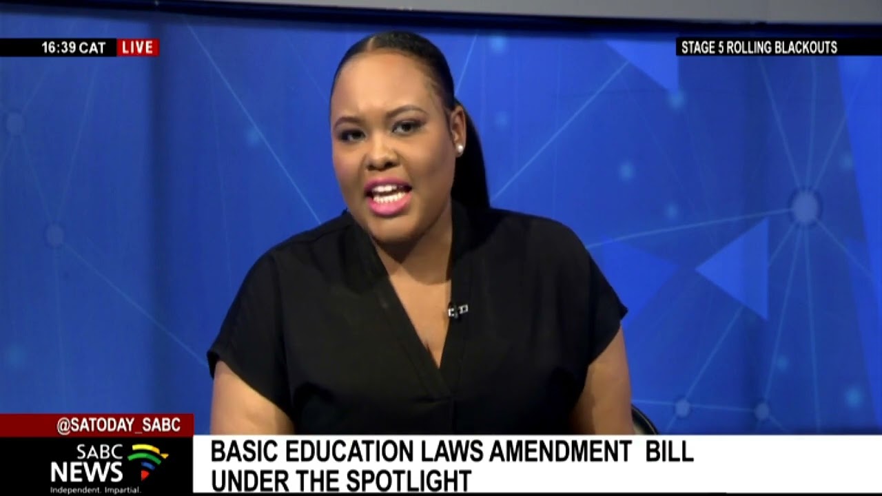 Concerns surrounding Basic Education Laws Amendment Bill: Prof. Leketi Makalela